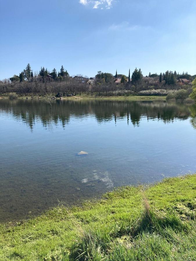 הוילה Los Cedros, Gran Chalet Con Piscina Y Apartamento En נאבאסראדה מראה חיצוני תמונה