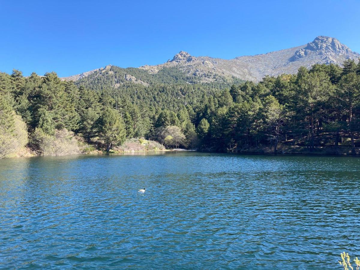 הוילה Los Cedros, Gran Chalet Con Piscina Y Apartamento En נאבאסראדה מראה חיצוני תמונה