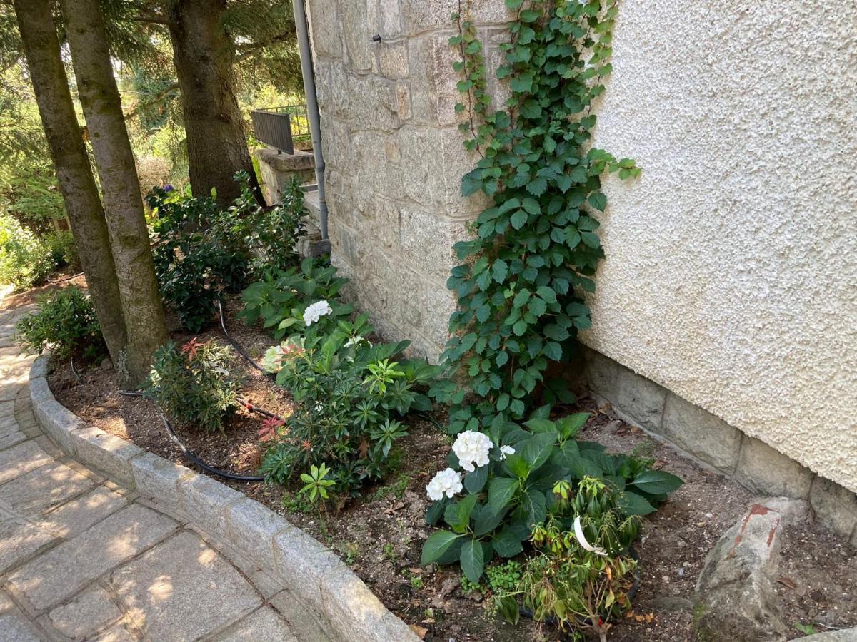 Los Cedros, Gran Chalet Con Piscina Y Apartamento En נאבאסראדה מראה חיצוני תמונה